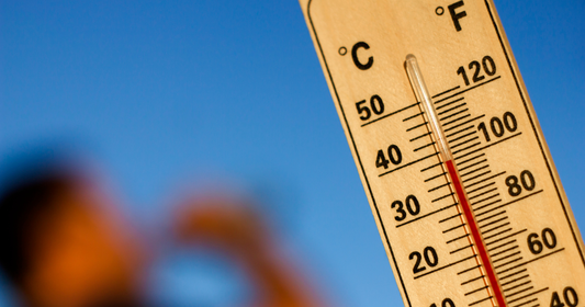 Canicule et Alzheimer : protéger un proche qui ne ressent plus la soif